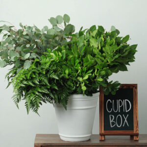 Cupid Box — Assorted Mixed Greens — FREE FedEx Shipping
