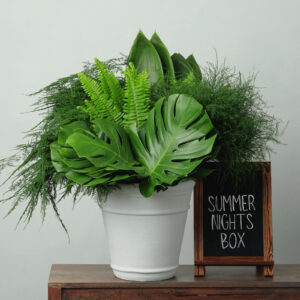 Summer Nights Box — Assorted Mixed Greens — FREE FedEx Shipping