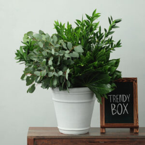 Trendy Box — Assorted Mixed Greens — FREE FedEx Shipping