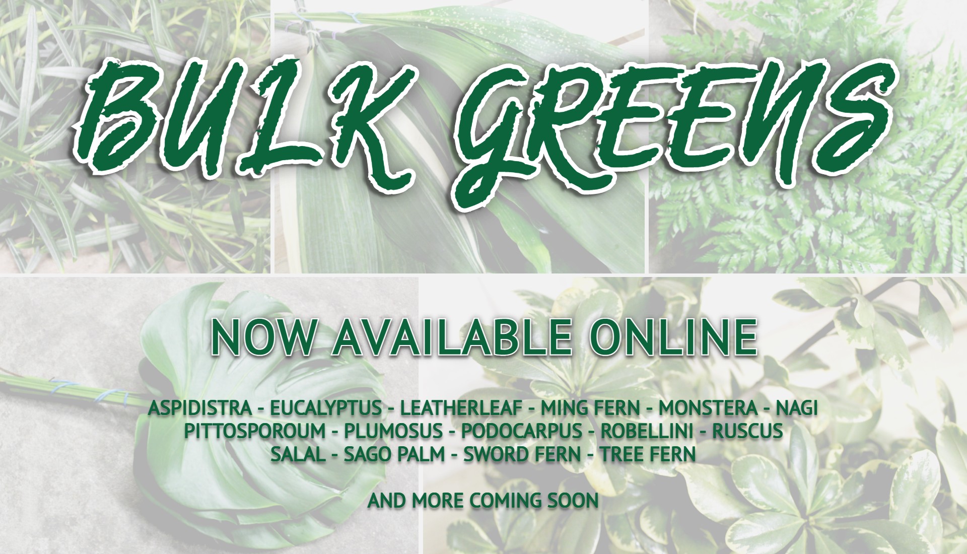 Now Available Online — Bulk Greenery