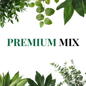 *Choose Your Greens* – CUSTOM MIXED BOX – FREE Shipping (Includes Eucalyptus + Ruscus + Salal)