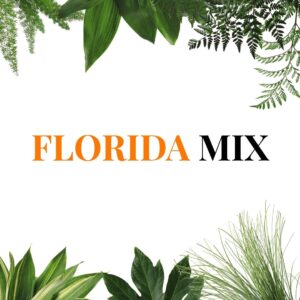 *Choose Your Greens* – CUSTOM MIXED BOX – FREE Shipping (Florida Greens Only)