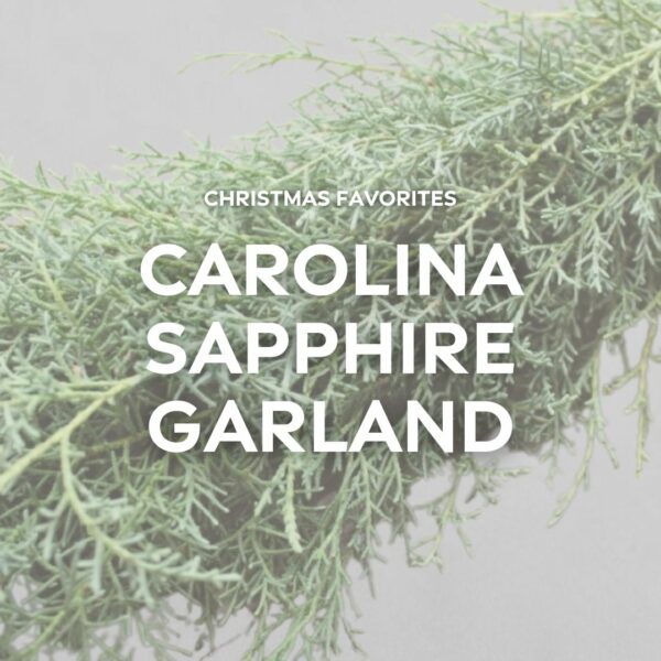 Garland – Carolina Sapphire – FREE FedEx Shipping