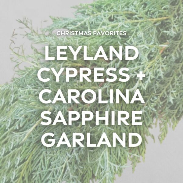 Garland – Leyland + Carolina Sapphire – FREE FedEx Shipping