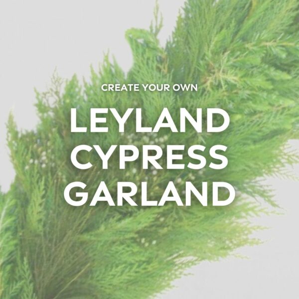 Choose Your Mix – Green Leyland Cypress Garland – FREE FedEx Shipping