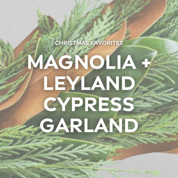 Garland – Magnolia + Leyland – FREE FedEx Shipping