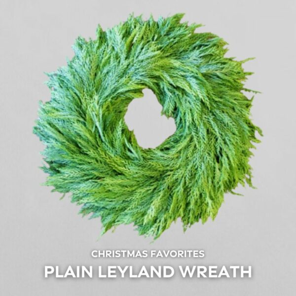 Wreath – "The Evergreen" Leyland Cypress – FREE FedEx Shipping