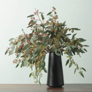 Eucalyptus (Seeded) Fresh Floral Greenery — FREE FedEx Shipping
