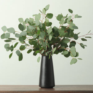 Eucalyptus (Silver Dollar) — Fresh Floral Greenery — FREE FedEx Shipping
