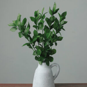 Israeli Ruscus — Fresh Floral Greenery — FREE FedEx Shipping