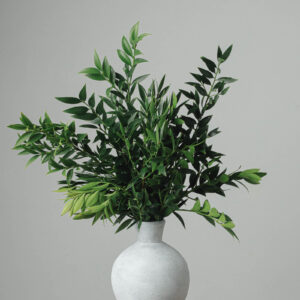 Nagi — Fresh Floral Greenery — FREE FedEx Shipping