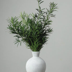 Podocarpus — Fresh Floral Greenery — FREE FedEx Shipping