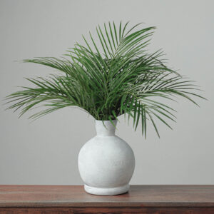 Robellini — Fresh Floral Greenery — FREE FedEx Shipping