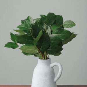 Salal Tips — Fresh Floral Greenery — FREE FedEx Shipping