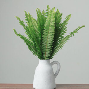Sword Fern — Fresh Floral Greenery — FREE FedEx Shipping