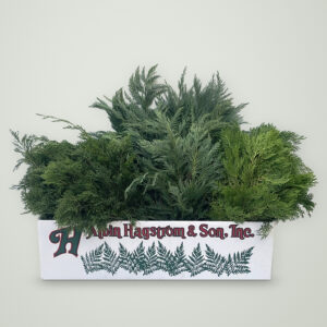 Evergreen Box of fresh Christmas greenery packed in an Albin Hagstrom & Son box