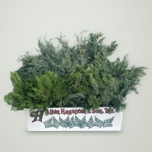 Season's Greetings Box of fresh Christmas greenery packed in an Albin Hagstrom & Son box