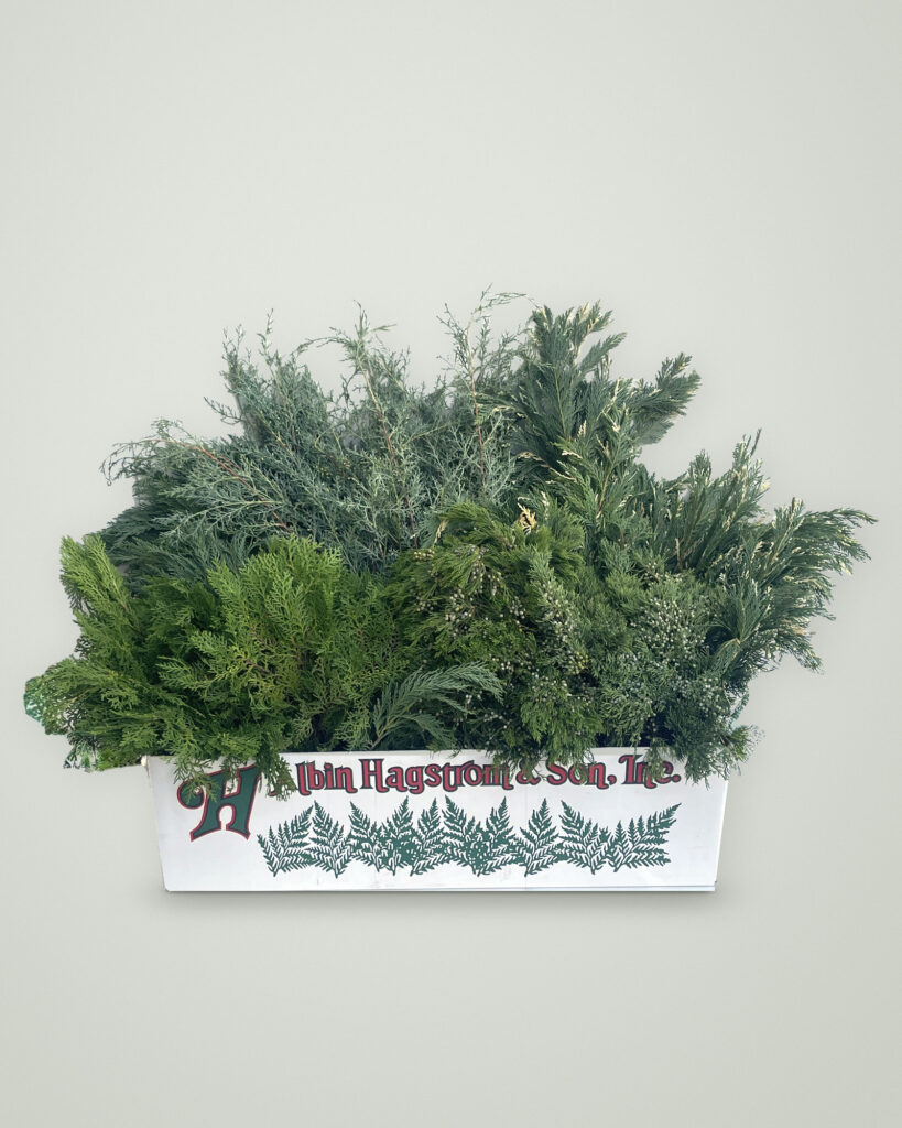 Season's Greetings Box of fresh Christmas greenery packed in an Albin Hagstrom & Son box