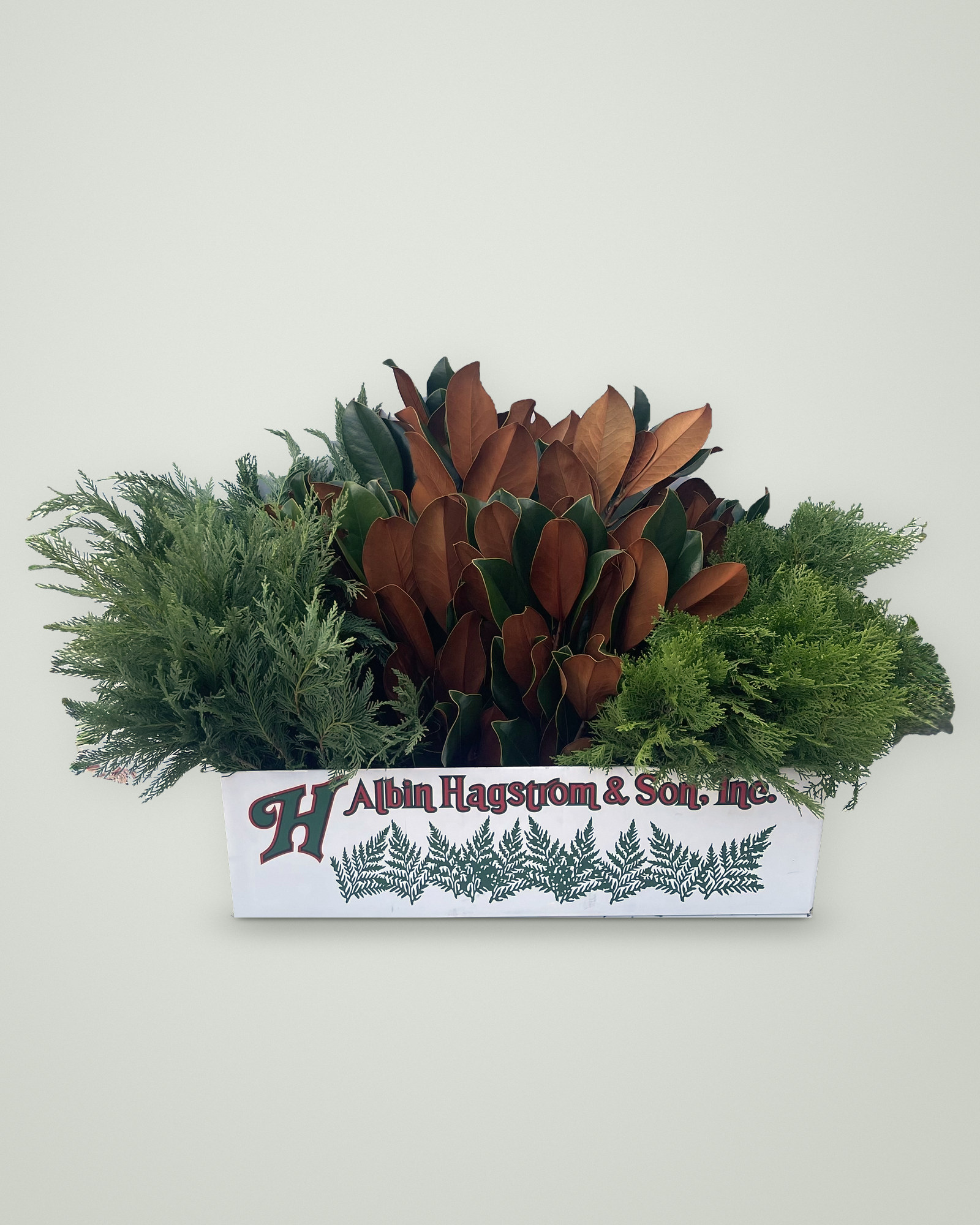 Southern Holiday Box of fresh Christmas greenery packed in an Albin Hagstrom & Son box