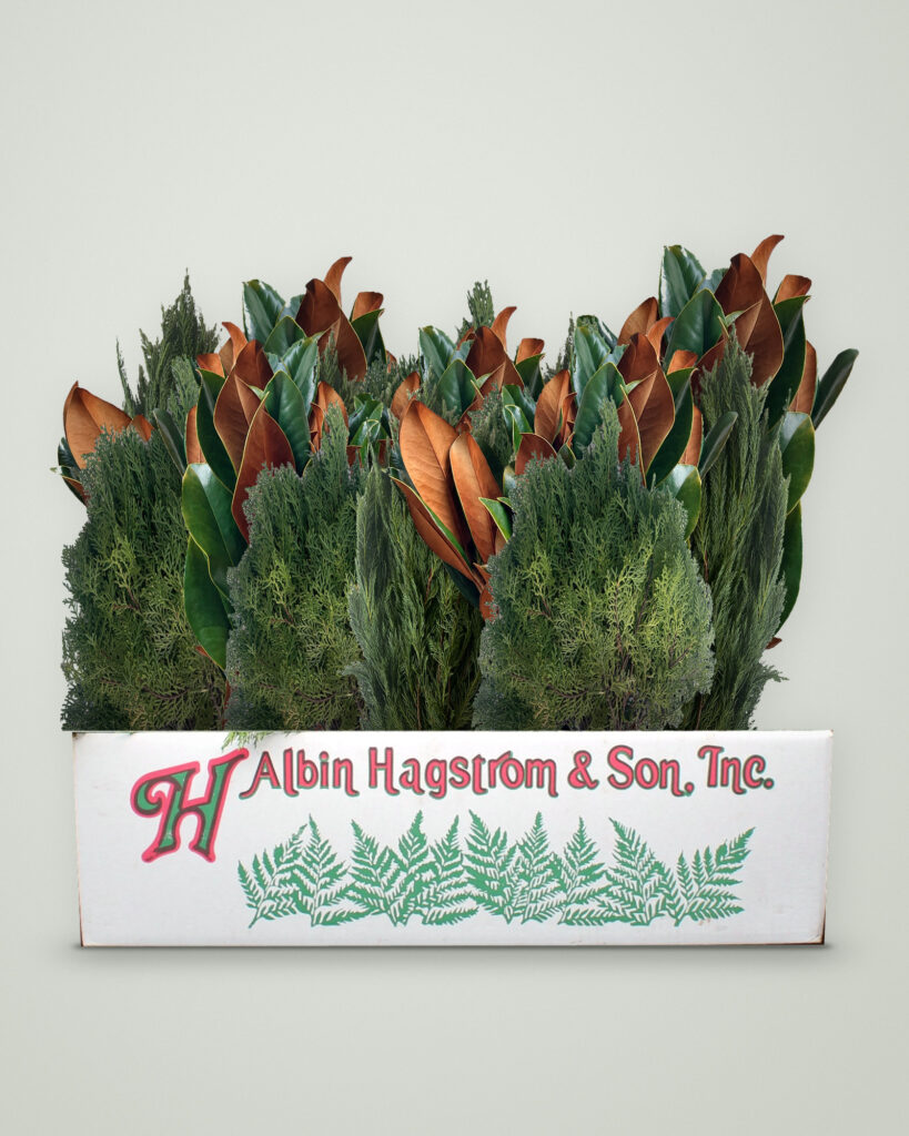 Southern Holiday Box of fresh Christmas greenery packed in an Albin Hagstrom & Son box